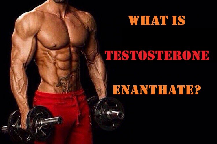 What is Testosterone Enanthate