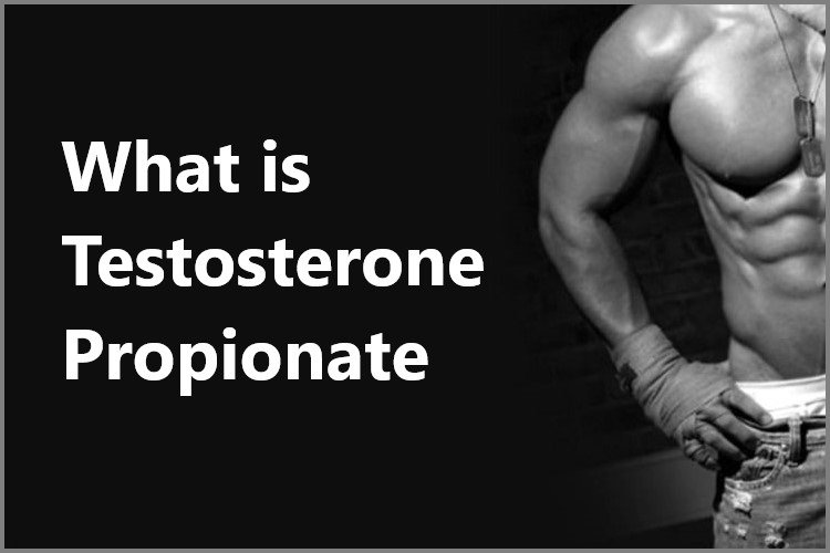 What is Testosterone Propionate