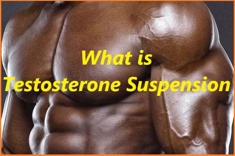 What is Testosterone Suspension