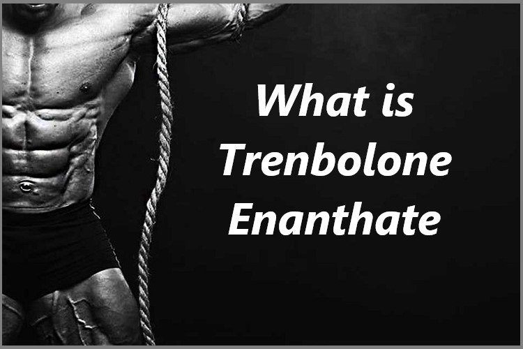 What is Trenbolone Enanthate