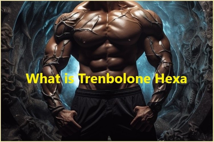 What is Trenbolone Hexa
