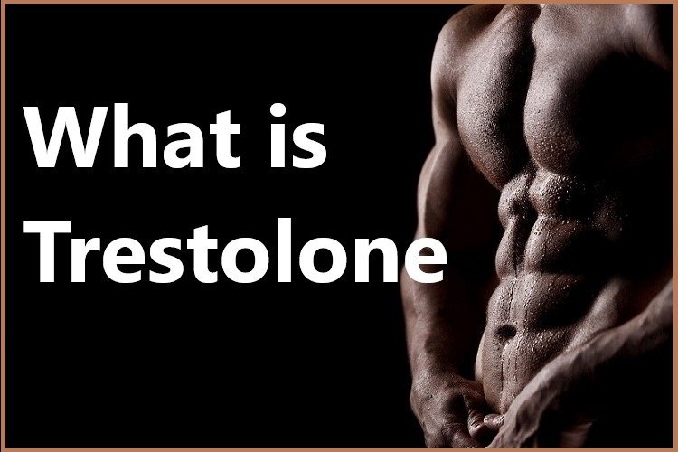 What is Trestolone?