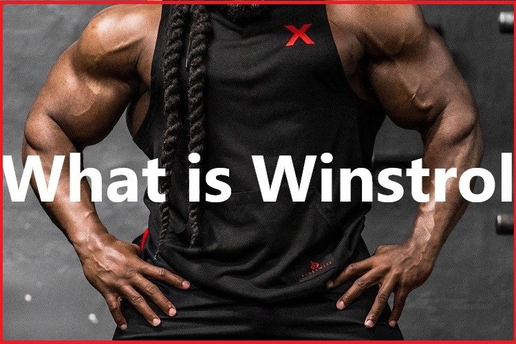 What is Winstrol?